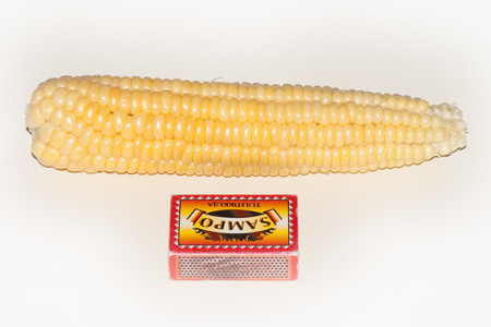 corn